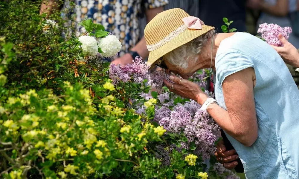 Adult Ticket to BBC Gardeners’ World Spring Fair