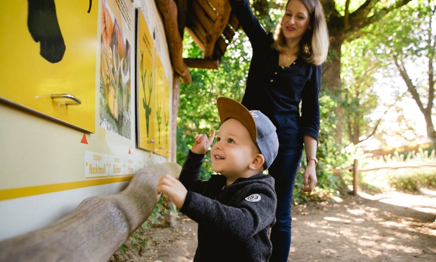 Image 4: Tageskarte für 1 Erwachsenen im Zoo Dresden im Januar oder Februar '26