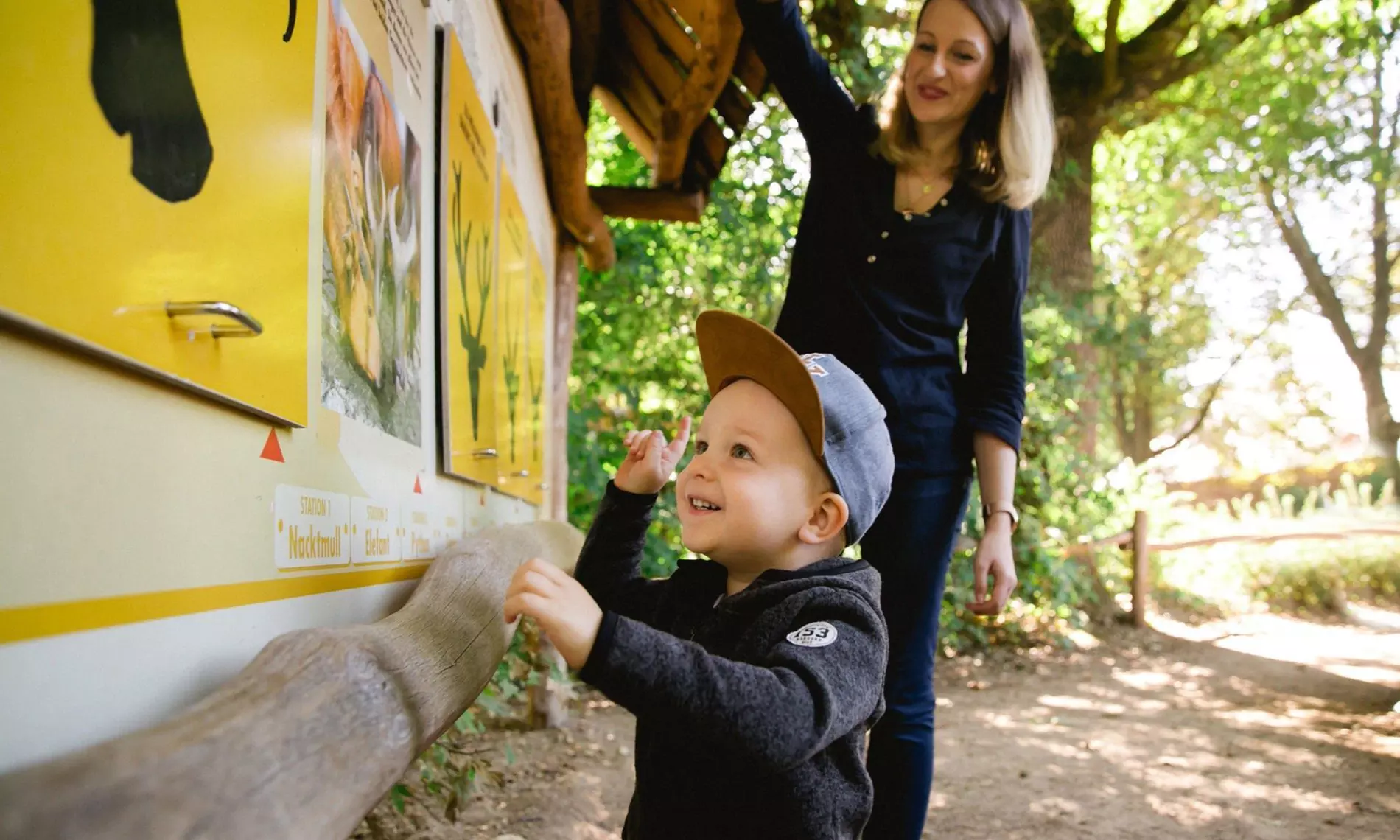 Tageskarte für 1 Erwachsenen im Zoo Dresden im Januar oder Februar '26