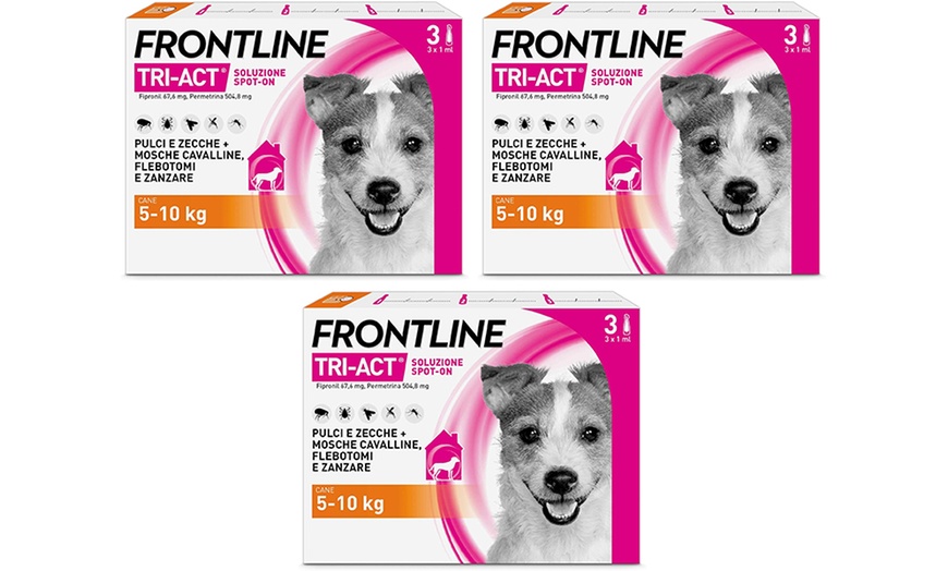 Image 15: Fino a 12 pipette Frontline Tri-Act® Spot-on per cani