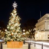 Image 5: Enjoy Christmas Lights Tour in London with Festive Treats