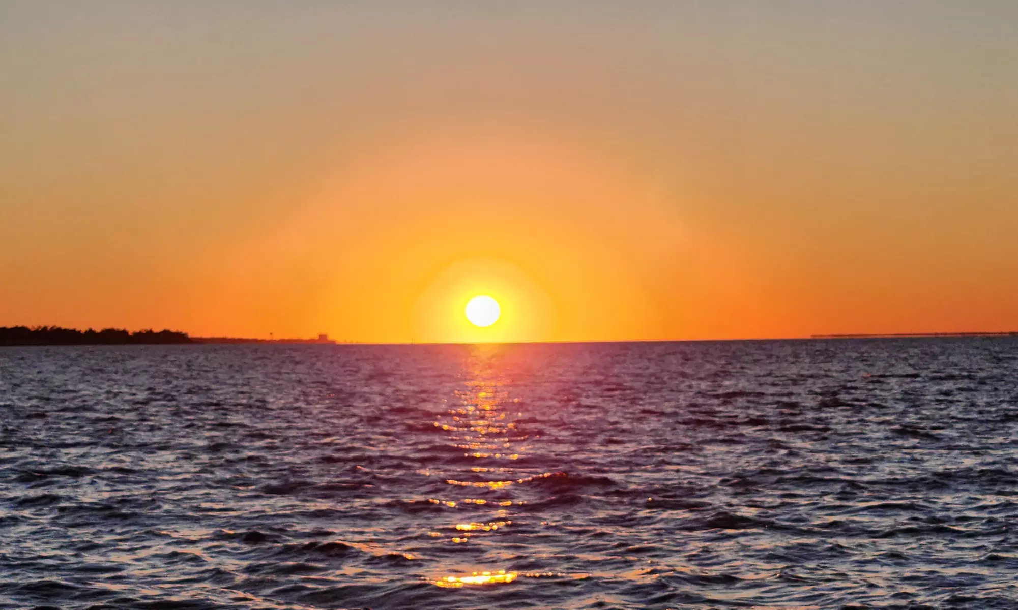 A Private Excursions- Sunset or Dolphin Cruise, Cape Lookout & More