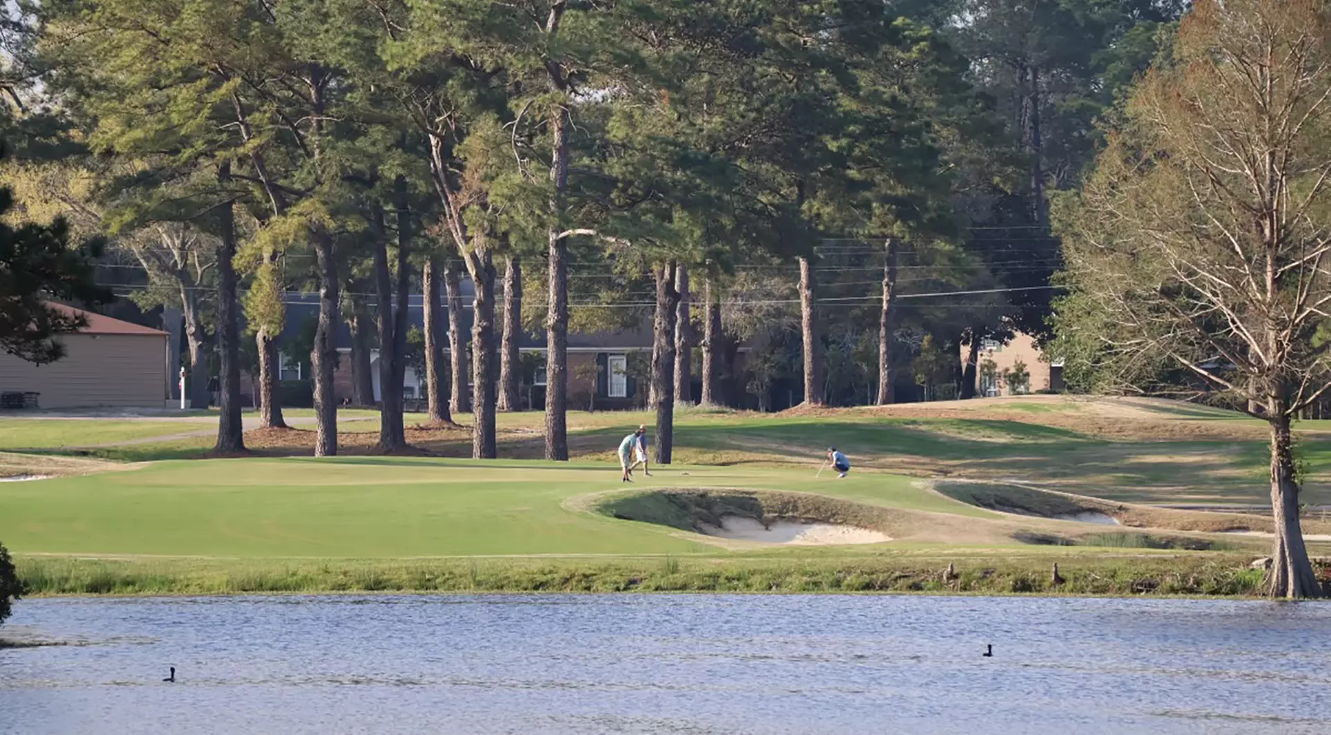 Enjoy Fun 18-Hole Golf at Wellman Golf Club: Solo or with Friends!