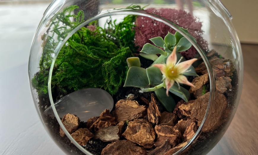 Image 3: Sunday Sips & Succulents: Craft a Unique Terrarium with Drinks 