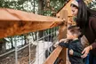 Adventure Park Admission or Park Super Admission at Shepherd of the Hills in Branson (Up to 12% Off) - Second Medium