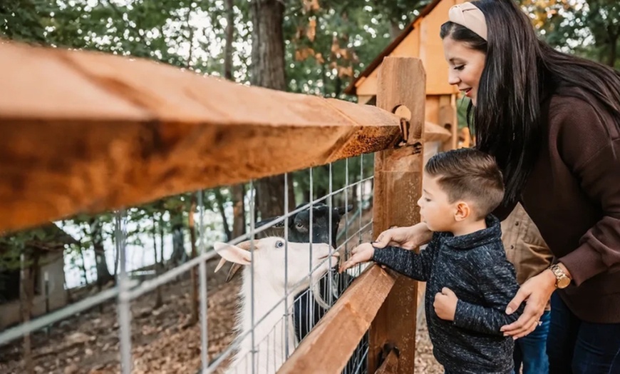 Image 6: Up to 12% Off Adventure Park Admission at Shepherd of the Hills