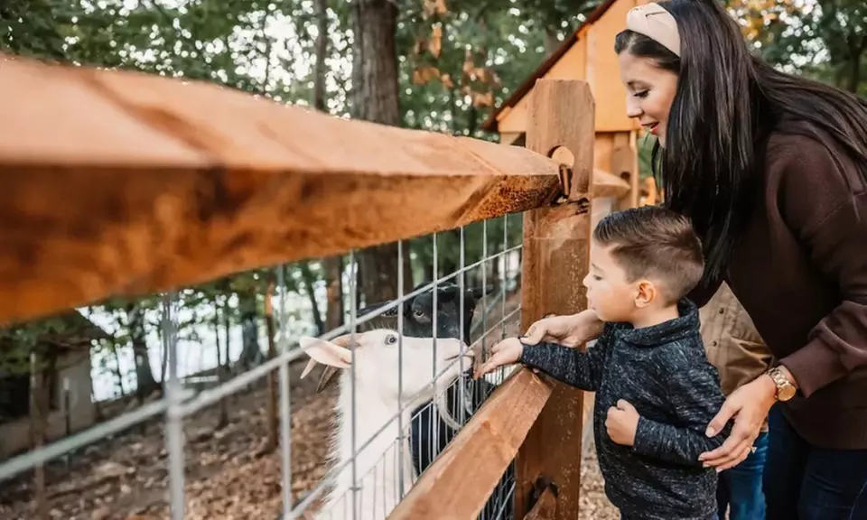 Up to 12% Off Adventure Park Admission at Shepherd of the Hills