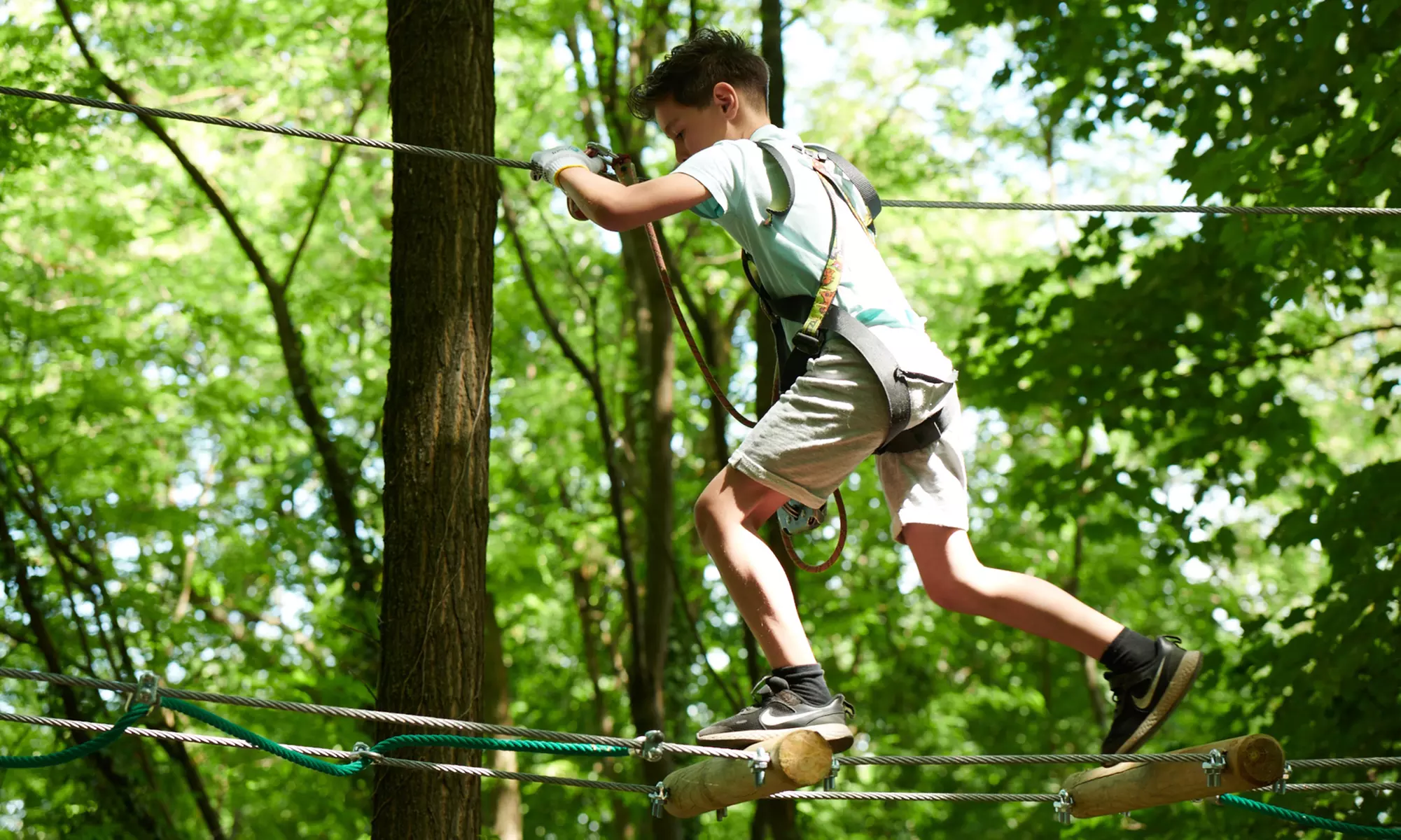 Accrobranche en illimité : l'aventure dans les arbres dès 4 ans !