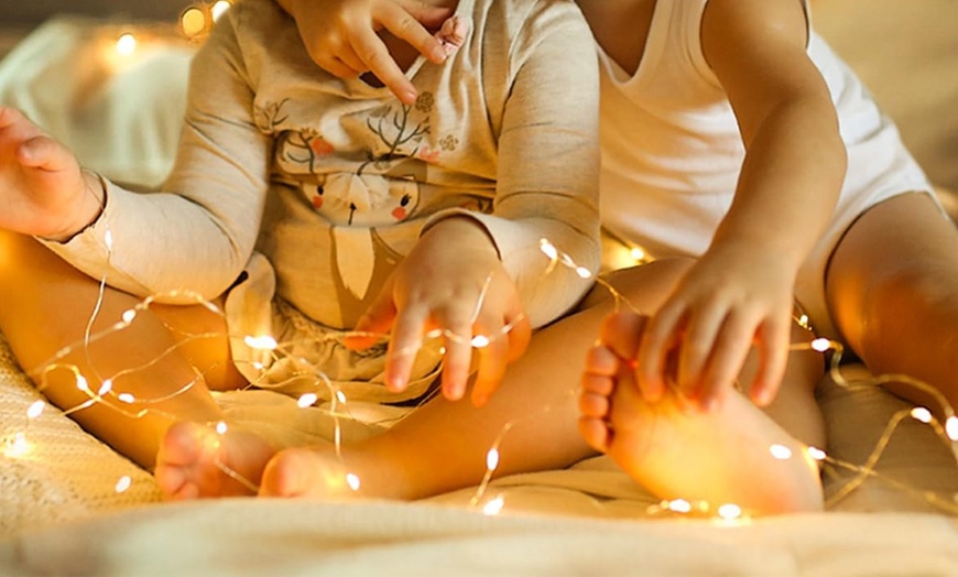 Image 3: Box mit 15 oder 30 Stück batteriebetriebene LED Mini- Lichterketten