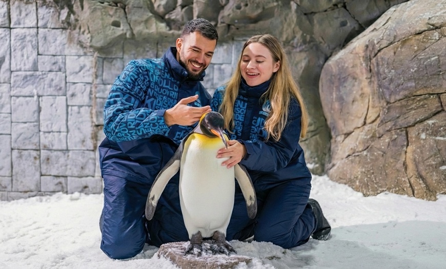 Image 10: Ski Dubai: Year-Round Indoor Snow Fun & Winter Adventures