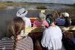 Everglades Airboat Tours with Optional Gator Show and Hold a Baby Gator Experience: Miccosukee Airboats (19% Off) - Second Medium
