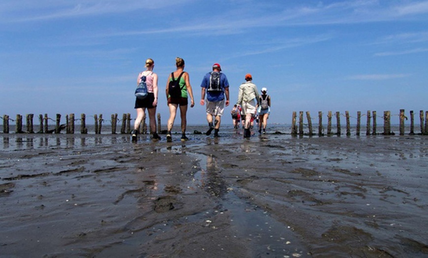 Image 2: Tour durch das Wattenmeer & Natur von Wadlopen-Pieterburen