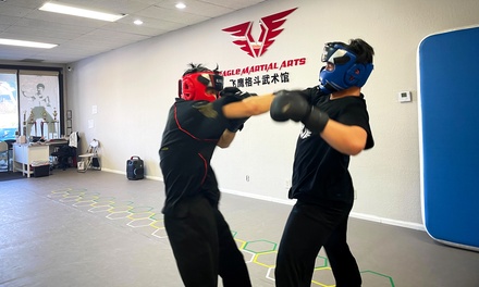 Five Classes of Kids Martial Arts Classes - Eagle Martial Arts