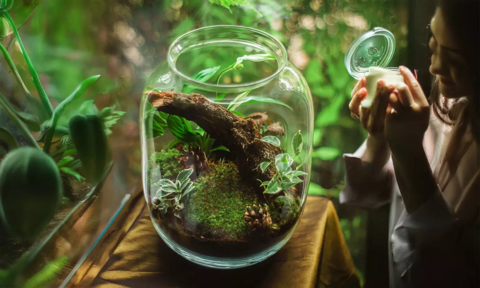 Explore Your Creativity: Admission For One, Two, Four or Eight to Social Terrarium Making Event (Up to 42% Off)  - Primary Image