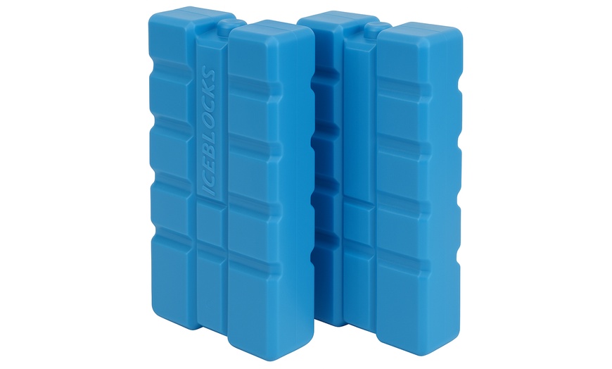 Image 4: Insulated Cooler Ice Box and Optional Ice Blocks 15L, 24L, 35L
