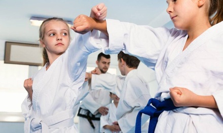 4 Martial Arts Class Pass including Uniform - Insight Karate