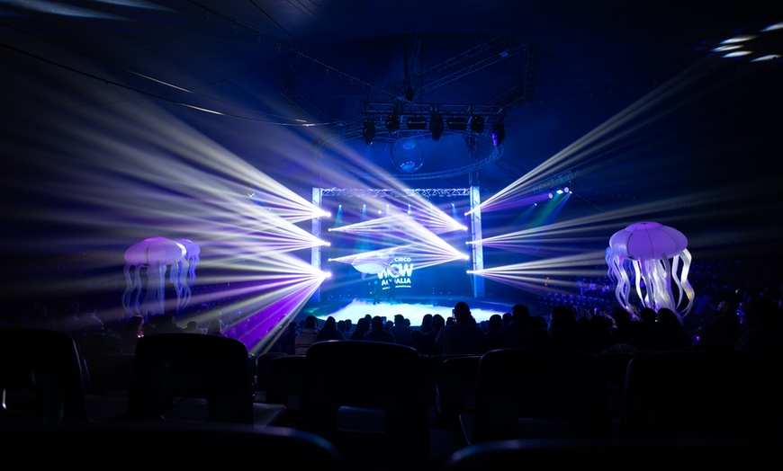 Image 4: Entrada para niño o adulto al "Gran Circo WOW de Navidad" en Valencia