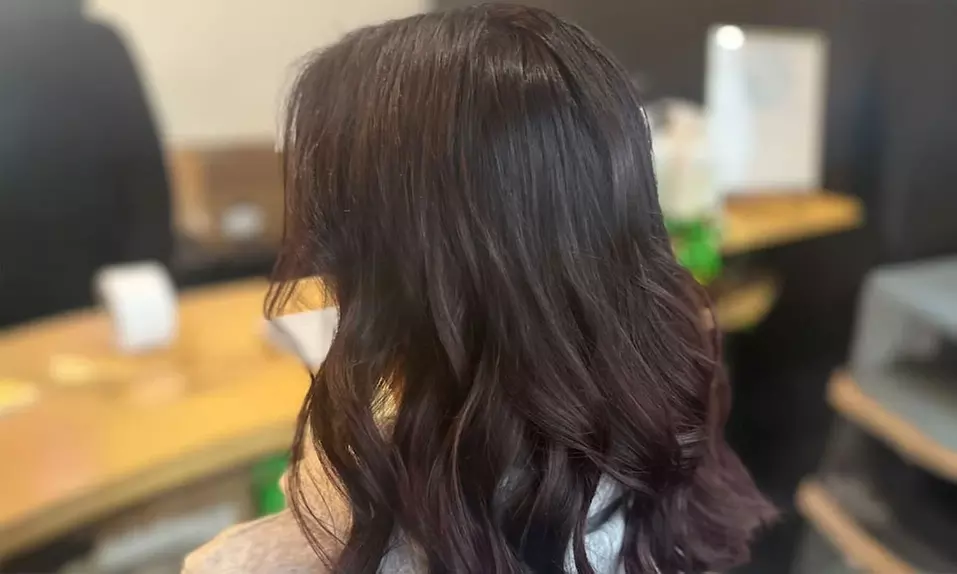 Haircut & Deep Condition w/Optional Scalp Massage or Brazilian Blowout