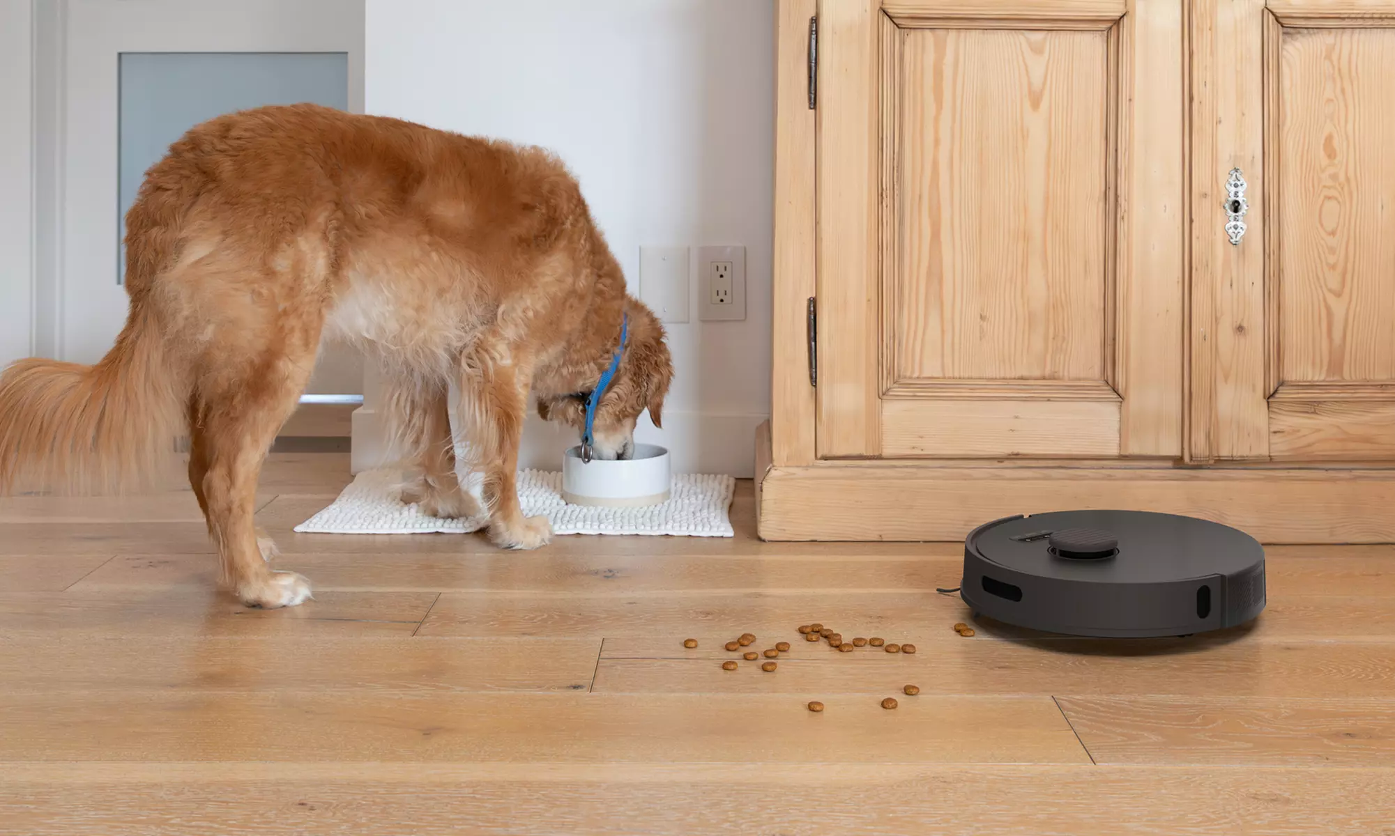 bObsweep Robot Vacuums: Clean Smarter & Faster