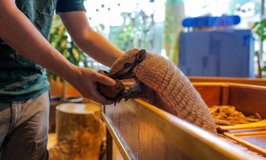 Image 8: The Green Planet Dubai Tickets – Indoor Rainforest Experience
