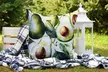 Outdoor Garden Cushions in Various Designs & Sizes from Custom Koala (Up to 50% Off) - Second Medium