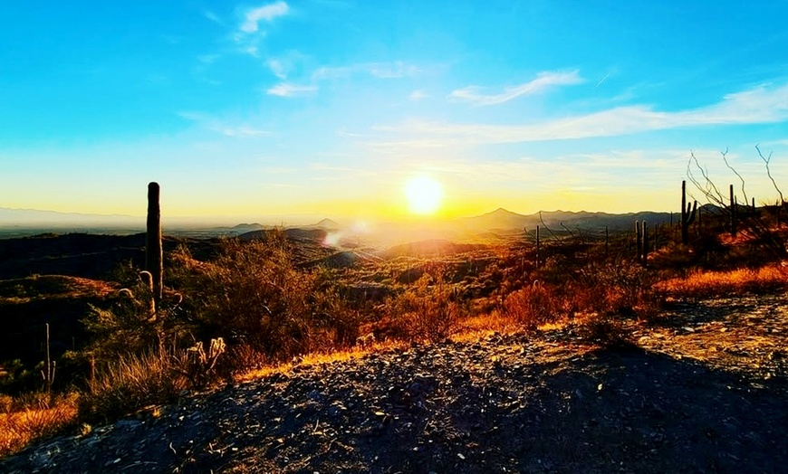 Image 4: ATV Rental: 2.5-Hour Sonoran Desert Adventure up to 27% Off