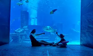 Explore the Lost World Aquarium at Atlantis – Entry Tickets for Kids, Adults & Families