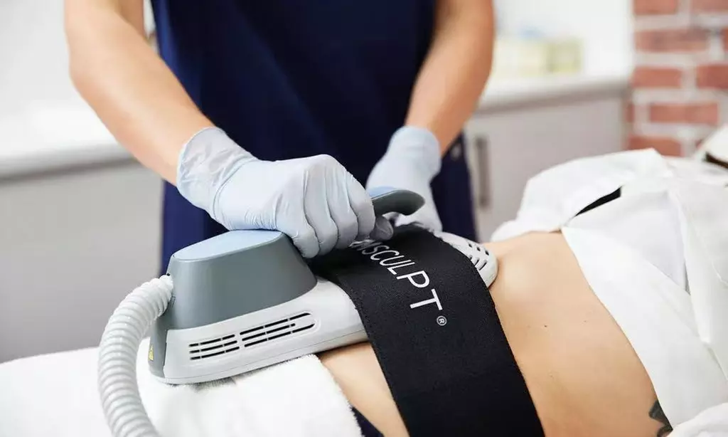 One Session Electromagnetic Body Sculpting on One, Two or Four Areas at Muses Beauty Boutique - Primary Image