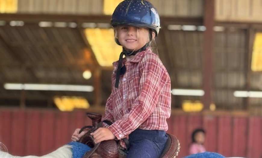 Image 2: 1,2 3, or 4 Horseback Riding Lessons for One Hour Each Sessions