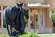 Discover Iconic Women of the West at the National Cowgirl Museum with Tickets for 1, 2, or 4 People (Up to 30% Off) - Second Medium