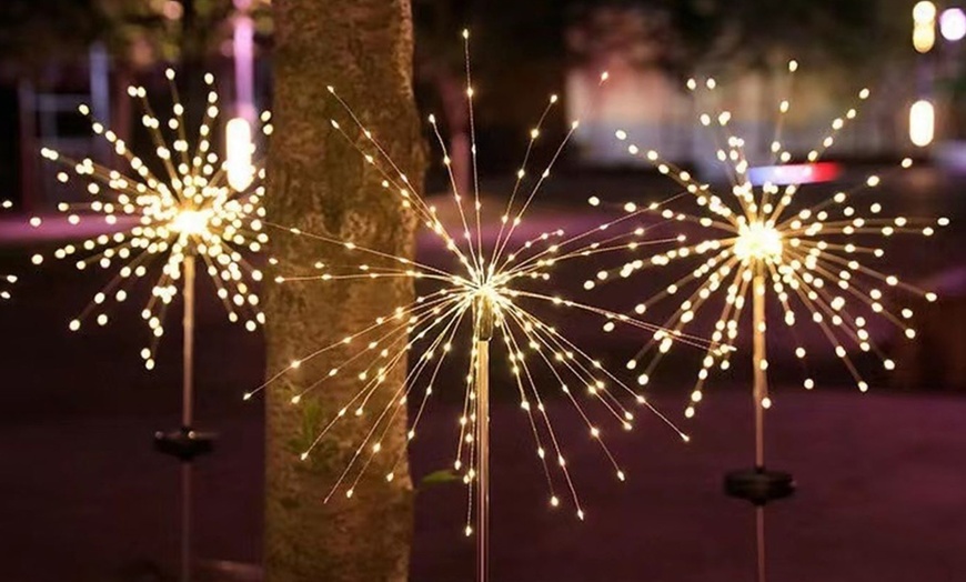 Image 6: Packs of One, Two or Four Solar Dandelion Decorative Lights