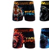 Image 7: Lot de 4 boxers microfibre FREEGUN divers univers pour homme