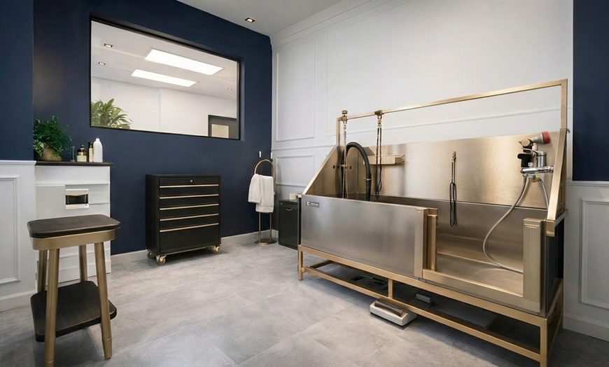 Image 4: Care Your Pups with 1 or 3 Full Days of Day Care or Nights of Boarding