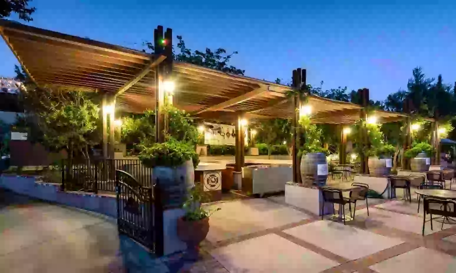 Wine Cave Tasting Experience with Scenic Vineyard Views