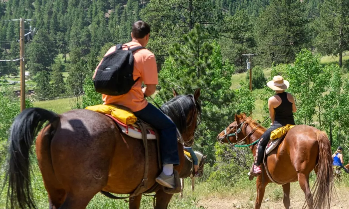 Experience Trail Ride Through Stunning Landscapes at Estes Park