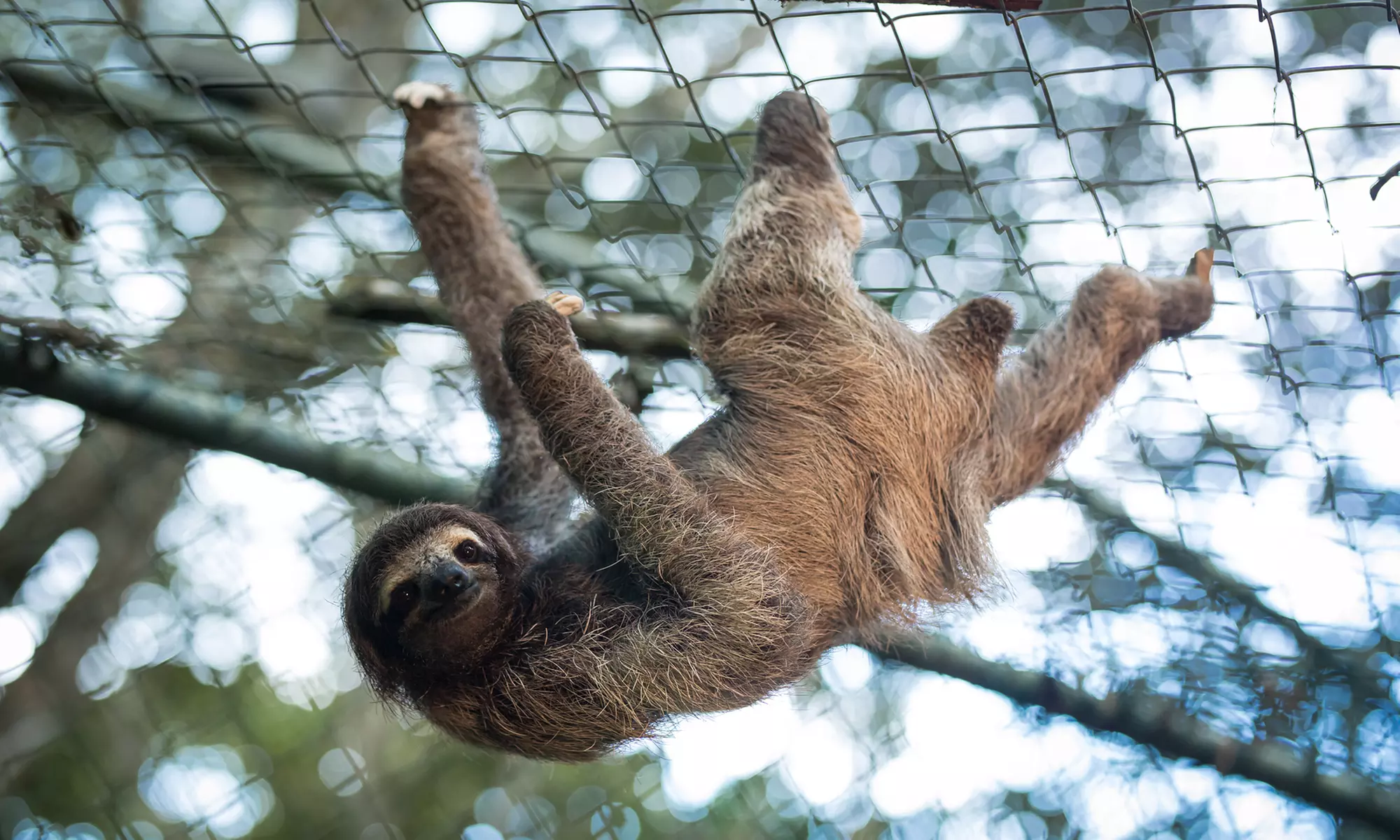 ✈5-Night Panama Vacation with Air & Hotels from Travel by Jen