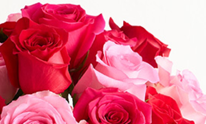 Image 11: Next Day Delivery Valentine's Rose Bouquets from 1-800-Flowers.com 