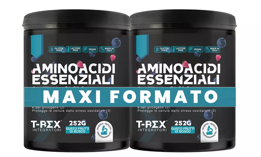 Image 16: Aminoacidi essenziali, glutammina e arginina T-Rex Integratori