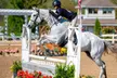 One or Two 30-Minute Horseback Riding Lessons at On Course Riding Academy (Up to 50% Off) - Second Medium