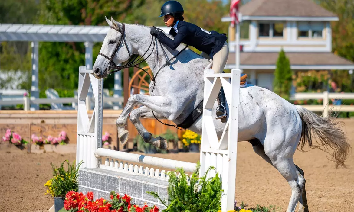 Intro Horseback Riding Lessons with One or Two 30-Minute Sessions