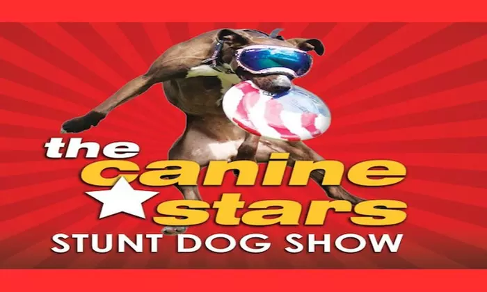 The Canine Stars - Up to 50% Off
