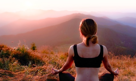 One 30-Minute Introduction to Guided Meditation Session - Stasia Wysote