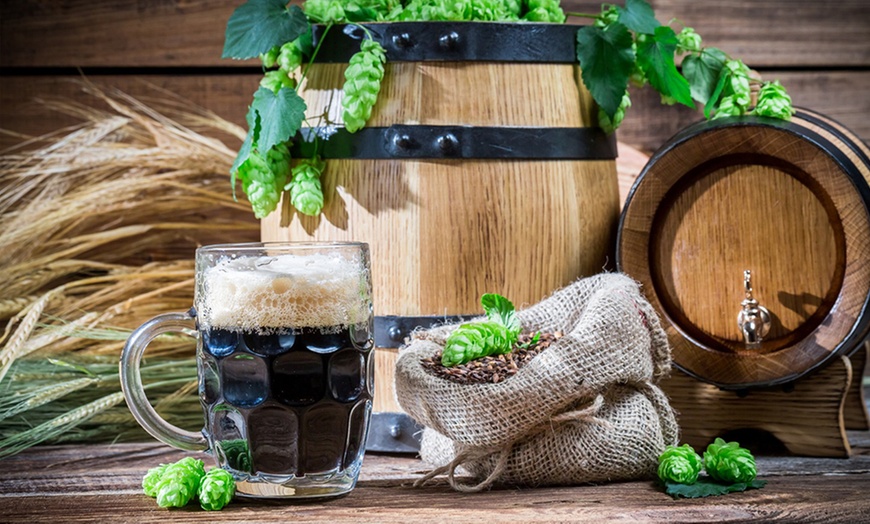 Image 4: Curso de cerveza artesana para 1 o 2 personas 