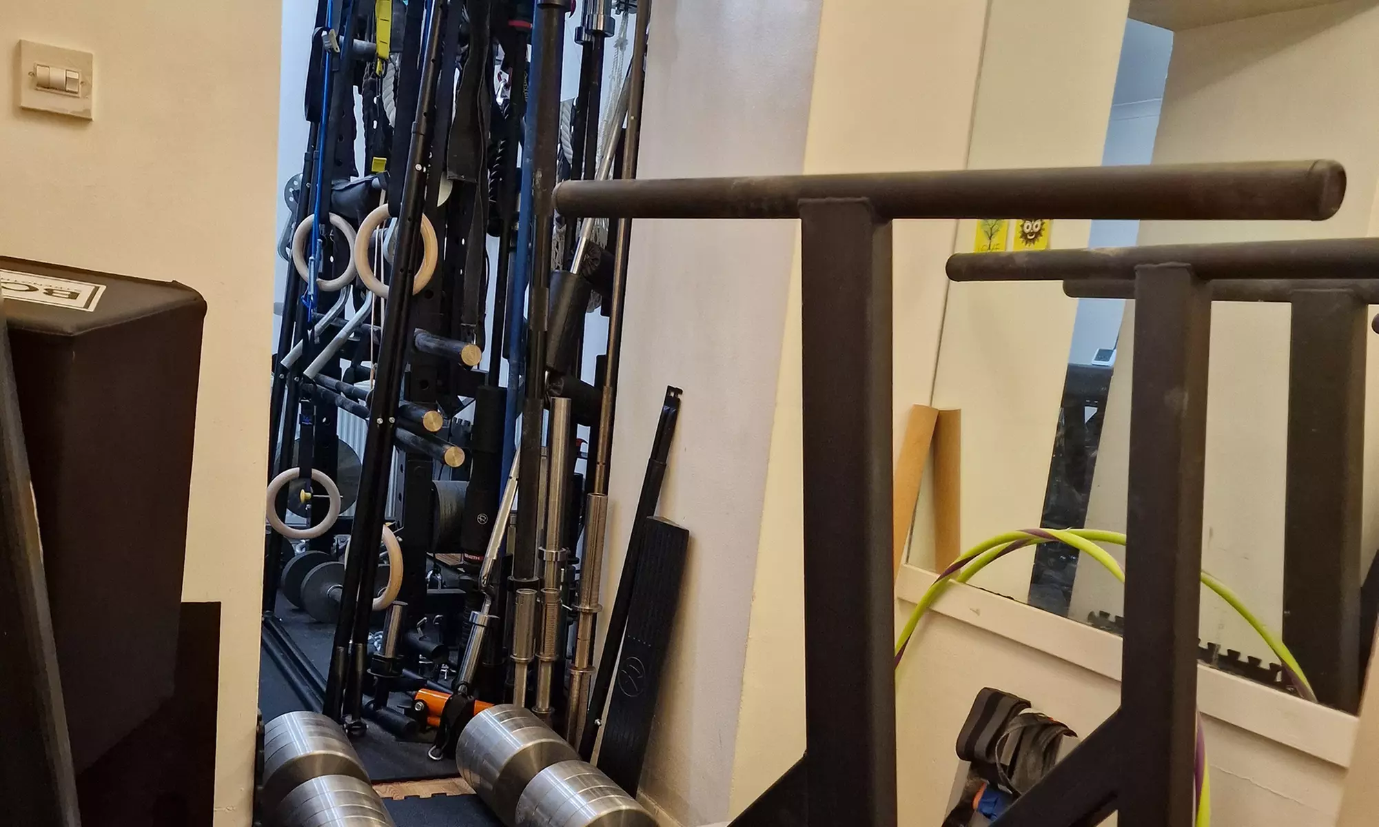 Up to 71% Off on Personal Trainer at Personal Training, Neuroscience, Posturology