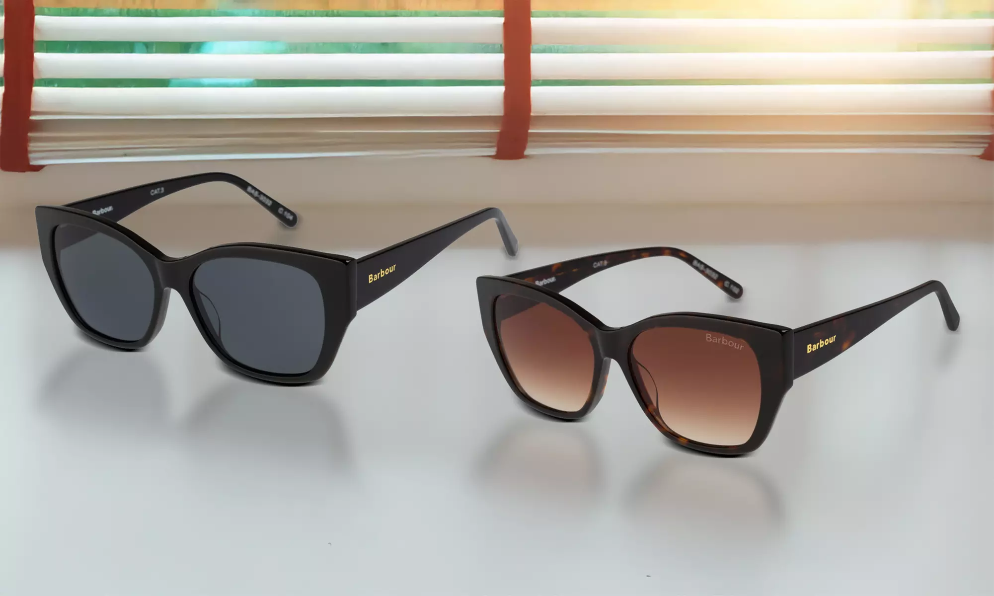 Barbour Women's Sunglasses in Two Shades