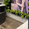 Image 9: One or Two Classic French Manicure and/or Pedicure Options