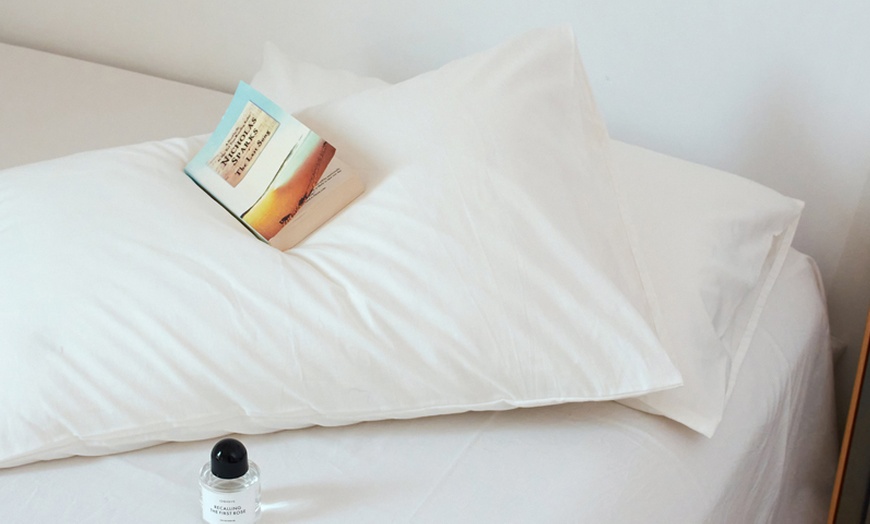 Image 53: Pure Cotton 2 Piece Pillowcase Set
