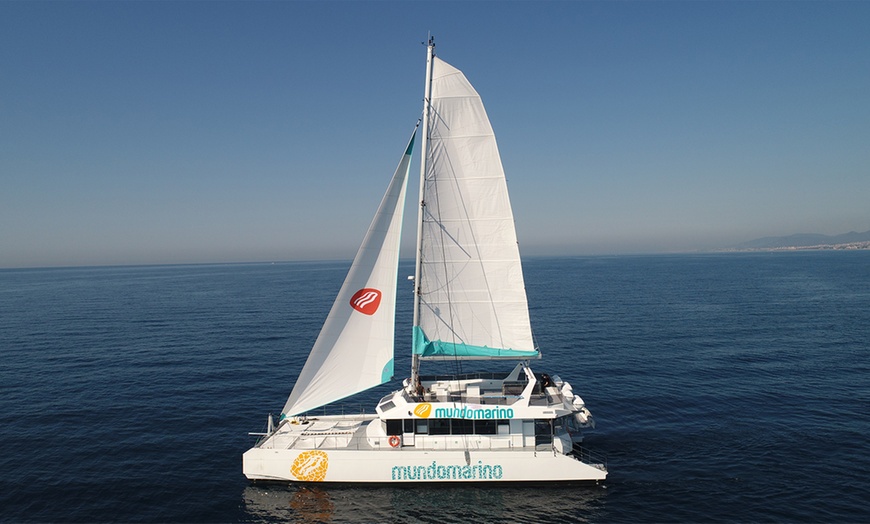 Image 2: Descubre Málaga desde el mar: paseo en catamarán con Mundo Marino