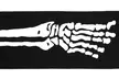 Women's Knee High Halloween Socks - Second Medium
