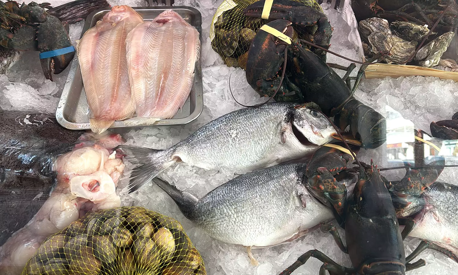 Menú de arroces o menú prémium para 2 o 4 personas en Casa Aurelio